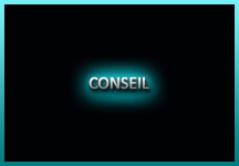 Conseil informatique MD Micro Services
