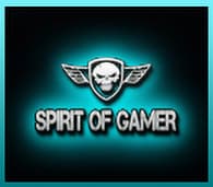 MD Micro Services - Spirit of Gamer